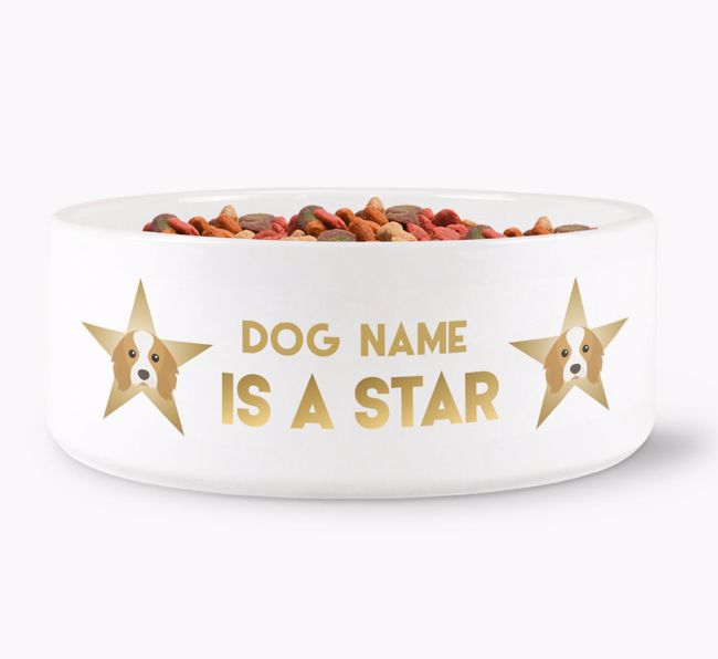 'Dog is a Star' - Personalised Dog Bowl for your {breedFullName}